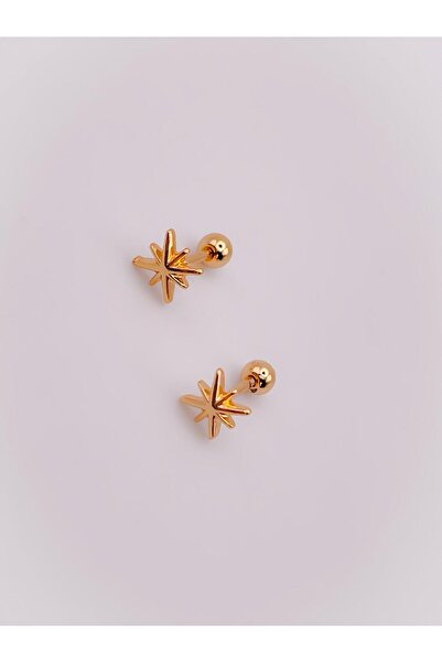 Trinos Cerrrahi Çelik Piercing ( Pirsing ) Mini Kuzey Yıldızı Tragus Helix Piercing (1adet)