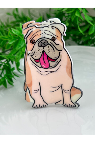 ALEYKA Cute Hair Clip with Dog Figure Bone Acrylic Clasp