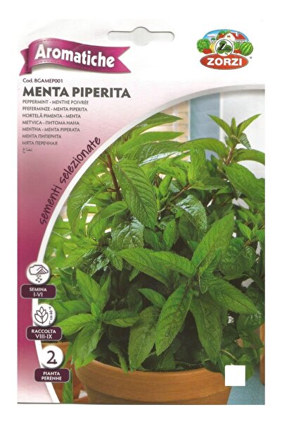 ZORZI بذور النعناع