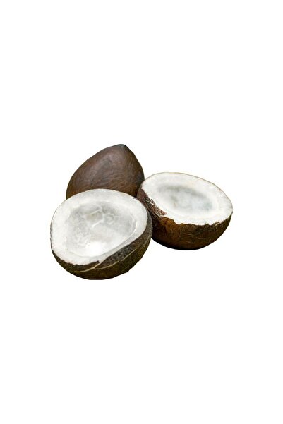 Driedfruit جوز الهند المجفف - التوابل الكاملة (1 كجم)