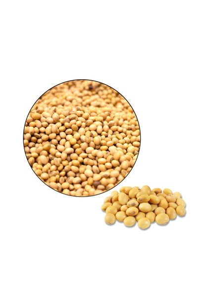 Seeds فول الصويا (1 كجم)