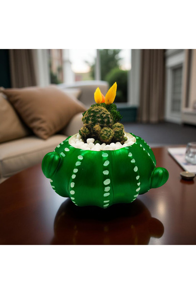 Hediyelik Çiçekler Kaktüs Desenli Dekoratif Saksı - Kaktüs Saksısı