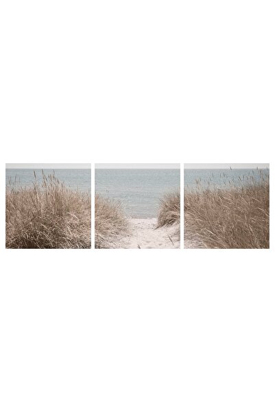 IKEA PJÄTTERYD Picture, Swedish sand dunes, 56 x 56 cm