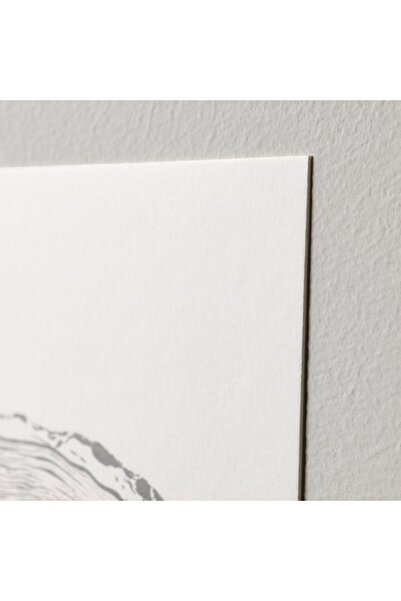 IKEA YLLEVAD Art card, flowers-blooming, 10 x 15 cm