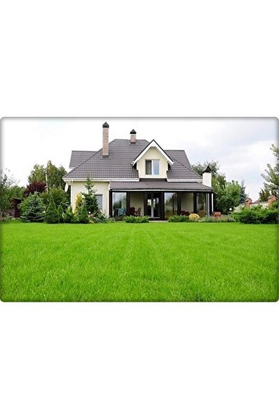 teknotrust Kurak ve susuz alanlar için Bermuda çimi tohumu, 1 kg, doğal yeşil...