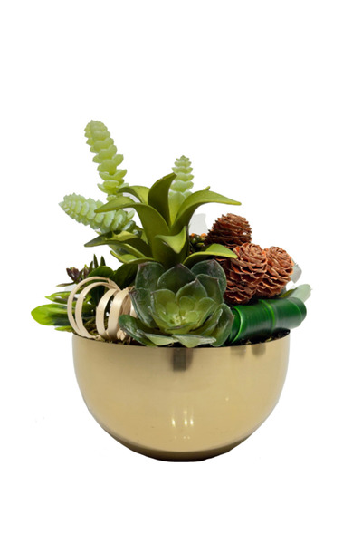 Lara Decor Gold Saksılı Sukulent Aranjman