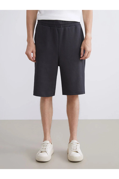 LC Waikiki Standard Fit Men's Shorts