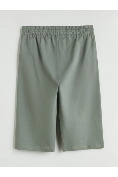 LC Waikiki Standard Fit Men's Shorts