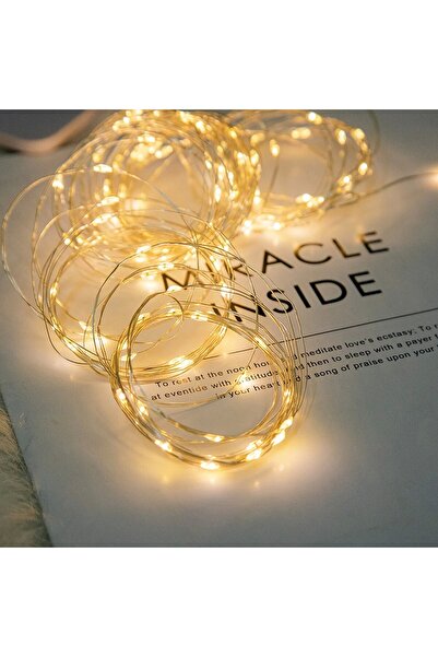 Flippy Christmas Light Installation, 5 meters, 50 LEDs, USB, Remote Control with 8 functions, warm white, F