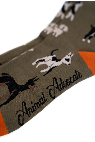 Trampoline Dog Patterned Long Socks - Patterned Socks - Khaki Green Long Socks