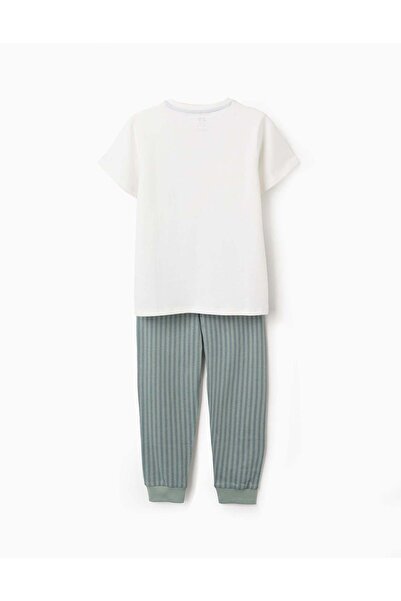 Ziddy Cotton Jersey Pyjama with Stripes for Boys, White/Green
