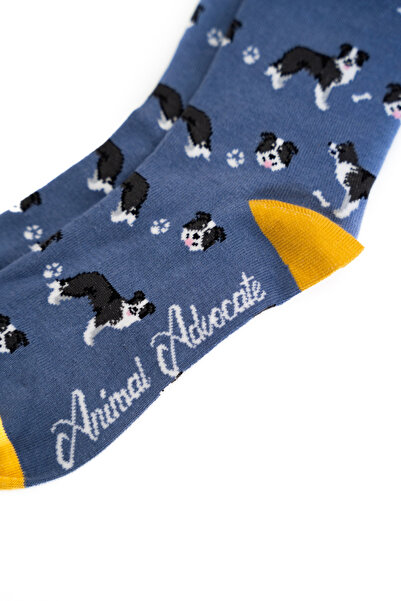 Trampoline Dog Patterned Long Socks - Patterned Socks - Blue Long Socks