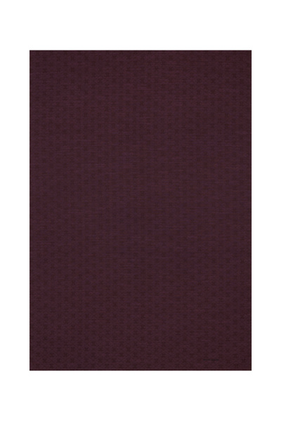 Pierre Cardin 75X190 CM K.Pierre Cardin Logolu İpek Koton Jakar Etol