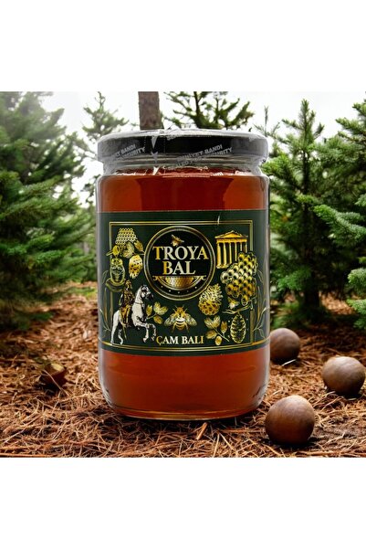 TROYA ARICILIK GIDA Troya Çam Balı 850 g