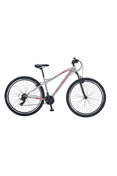 Salcano Lion 29 jant HD Hidrolik Disk Fren dağ bisikleti 44 cm kadro gri