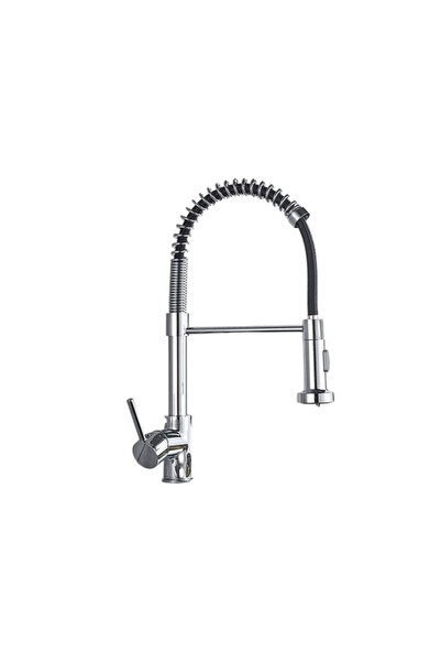 BisDesign Βρύση Νιπτήρα Κουζίνας, 2 Λειτουργίες Ροής με Ψεκασμό, Γυαλιστερό Χ...