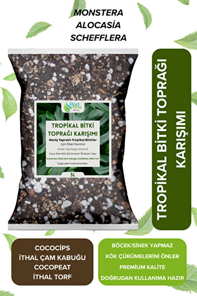 kolyosmarket 10 litre Tropikal Bitki Toprağı Karışımı Monstera – Alocasia – S...