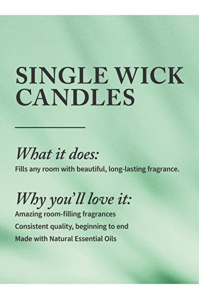 Bath & Body Works Cactus Blossom Single Wick Candle
