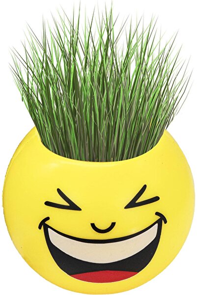 erorex Toy Grass Smiley Head Small Planter with Soil and Seeds for Kids