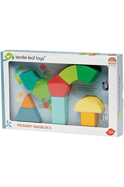Tender Leaf Toys - Primary Magblocks, 10 pieces