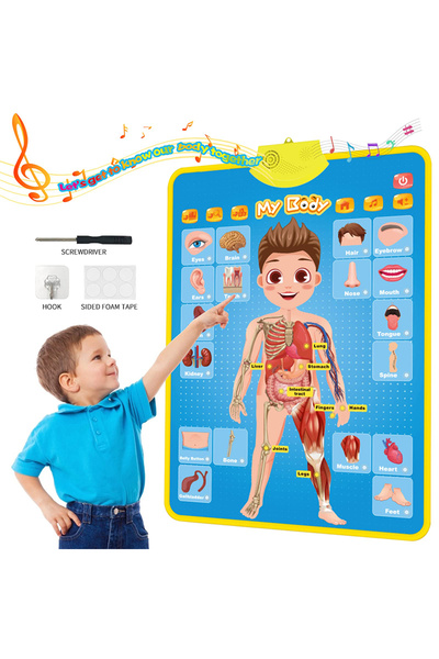 choice2 لوحة حائط إلكترونية لأحرف الأبجدية الإنجليزية من My Body، تحتوي على ح...