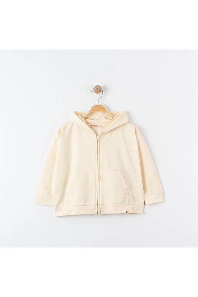 Tiffany Oversized Tracksuit Theme Hooded Zippered Sweatshirt