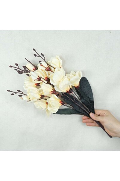 Kanguroom باقة زهور صناعية باللون البيج، 5 فرعات مع براعم ذات ملمس طبيعي، 44 سم