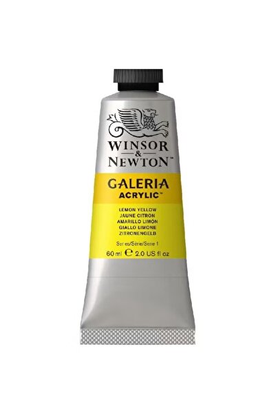 Winsor Newton Galeria Acrylic Multi Color Naples