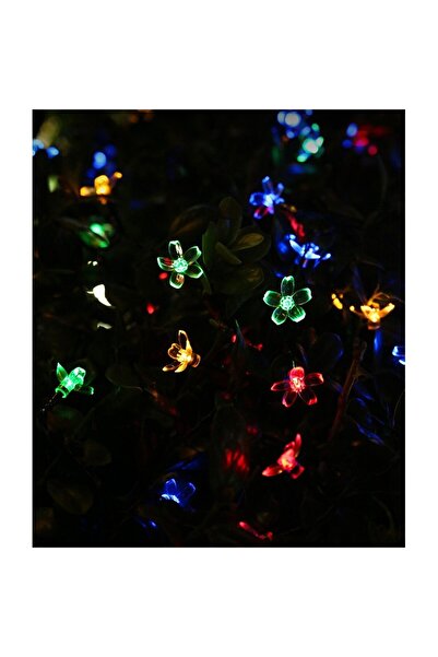 Flippy Christmas Lights, 6.5 m, 30 LED Cherry Blossom Bulbs, Outdoor Solar Powered, Multicolor,