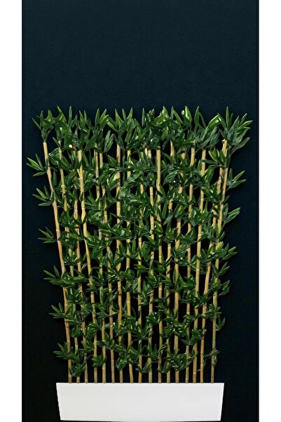 ERHAN FLOWERS 120 cm saksıda bambu seperatör 18 adet 200 cm bambu ile