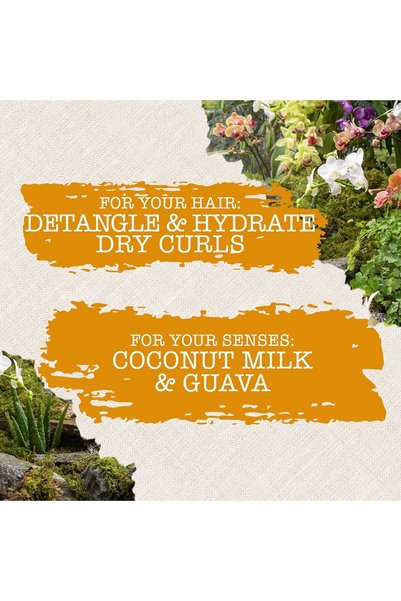 Maui Moisture بلسم مغذي ومرطب + حليب جوز الهند، 13 أونصة