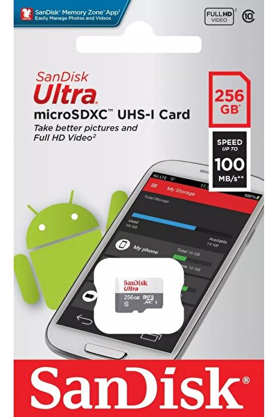 SanDisk Memory Card, 256GB, Grey and White
