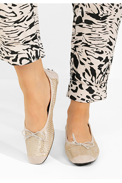 B T Shoes Stribrné dámské baleríny Janeta