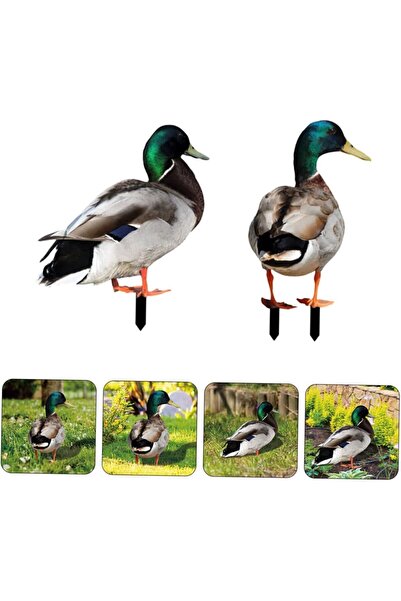 Flippy Set of 2 Garden Decorations Flippy, Duck Model, Plate Type, 3 mm Thickness, Double-Sided, Multicolor