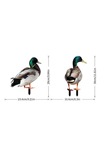 Flippy Set of 2 Garden Decorations Flippy, Duck Model, Plate Type, 3 mm Thickness, Double-Sided, Multicolor