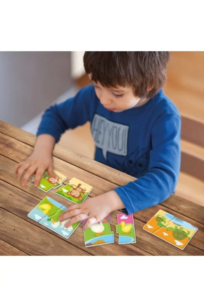 Agerino JOC EDUCATIV MAMICI SI PICI