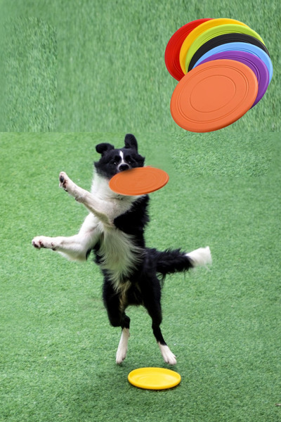 TİNEKE Durable Silicone Frisbee Dog Toy Flexible and Safe Catching Game Disc 17.5 cm 1Pcs