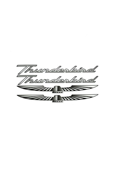 BsElektronik Etiketçilere Özel Yeni Nesil Kabartmalı Sticker Thunderbird Tasa...