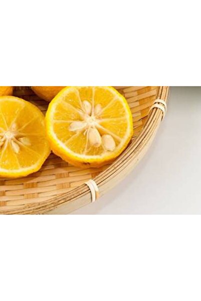 YABANEEZ YUZU JUICE "KAISEN"