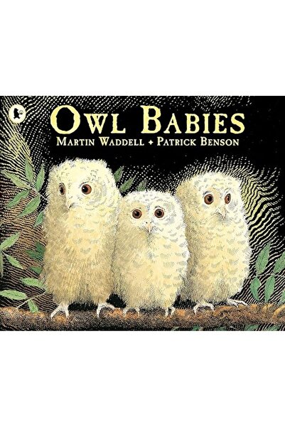 Bloomsbury Owl Babies + Sticky Note Paper