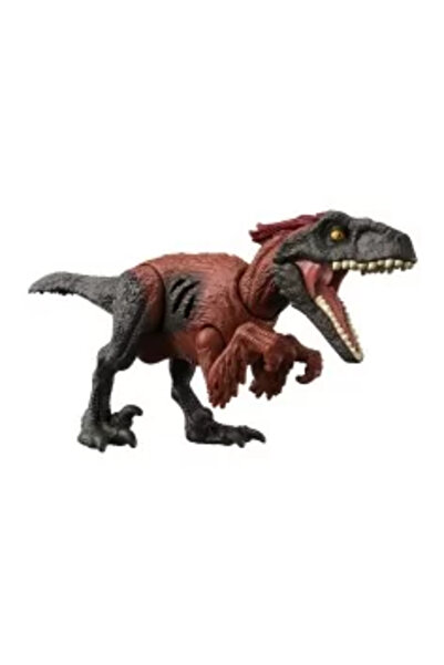 JollyMag SIMBA CAL CHAMP BEAUTY HORSE ALB