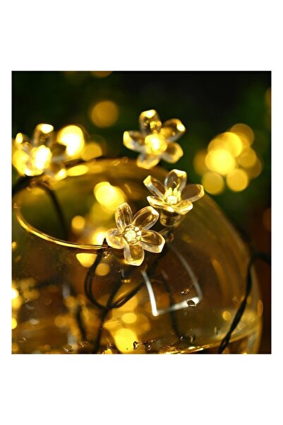 Flippy Solar Outdoor Christmas Lights 6.5m, 30 LED Cherry Blossom Warm White (Flippy)