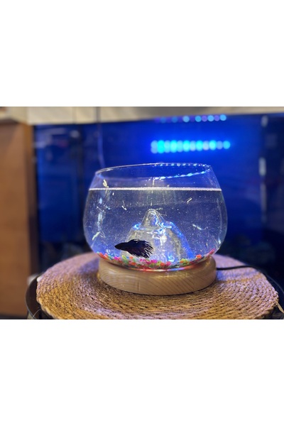 Masal Home Işıklı Ahşap stand Everest akvaryum