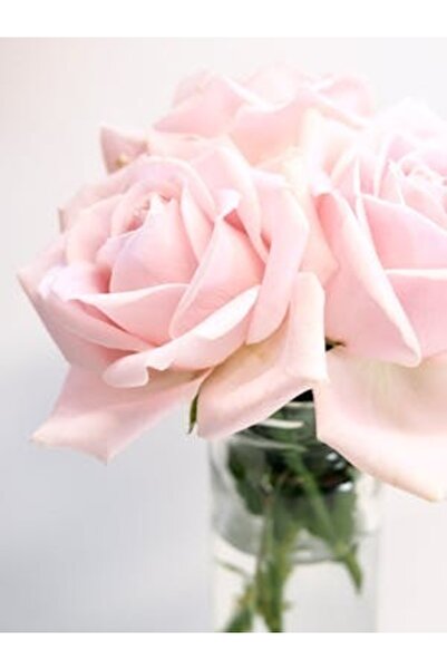 OEM Διακοσμητική επιτοίχια ζωγραφική με ξύλινο πλαίσιο, 33cm x 24cm, εικόνα 2098