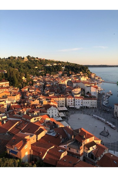 OEM Tablou decorativ, de perete, cu rama din lemn, 33cm x 24cm, imaginea 1877