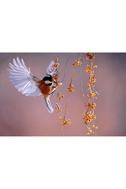 OEM Tablou decorativ, de perete, cu rama din lemn, 33cm x 24cm, imaginea 2010