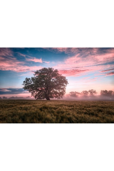 OEM Tablou decorativ, de perete, cu rama din lemn, 33cm x 24cm, cu flori2258