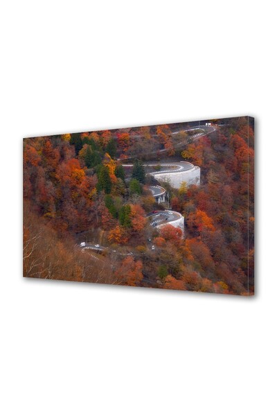 OEM Tablou decorativ, de perete, cu rama din lemn, 33cm x 24cm,cu flori2171