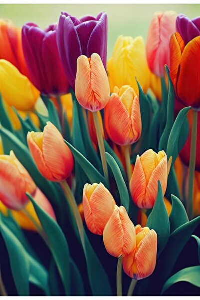 OEM Διακοσμητική επιτοίχια ζωγραφική με ξύλινο πλαίσιο, 33cm x 24cm, εικόνα 2224