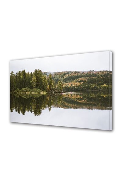 OEM Tablou decorativ, de perete, cu rama din lemn, 33cm x 24cm,cu flori2074